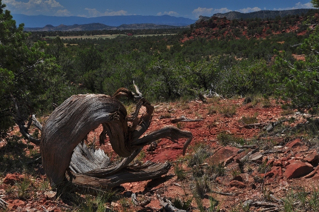 Red Canyon Road, Canon City
